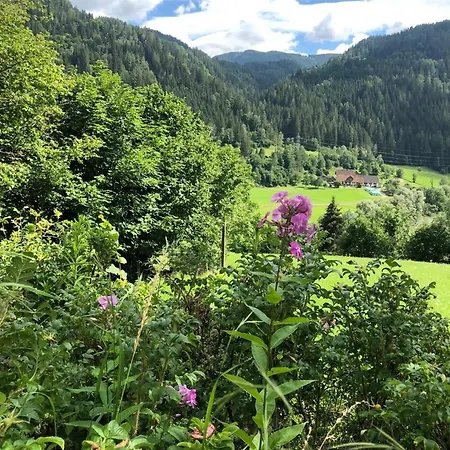 Ferienhaus In Triebendorf Mit Terrasse Und Garten Holiday home Murau